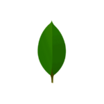 MongoDB