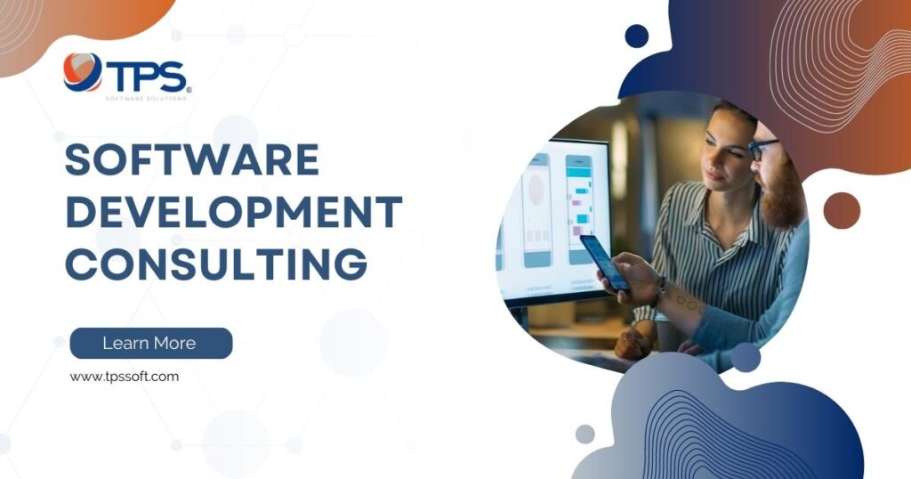 software development consulting