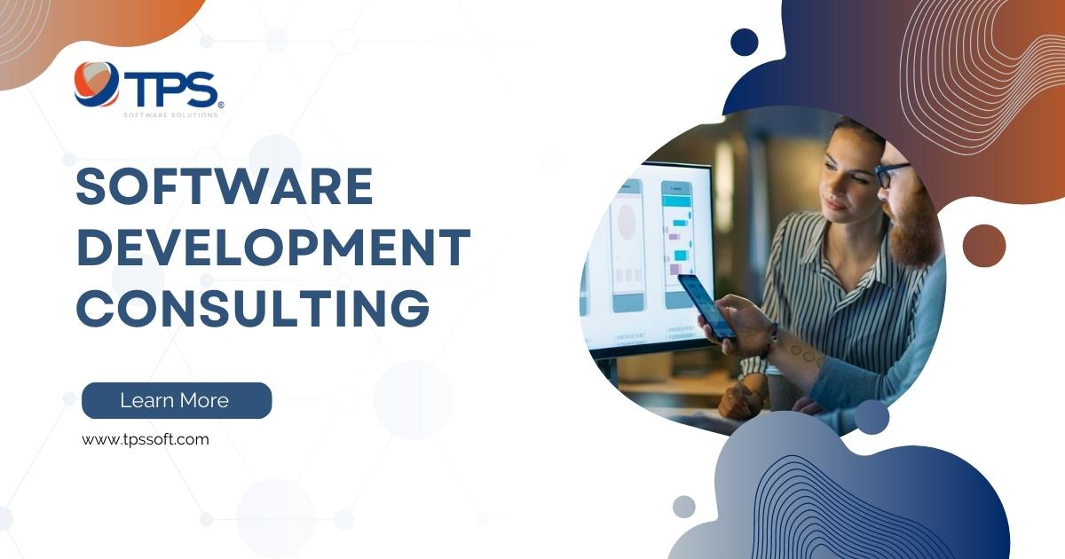 software development consulting